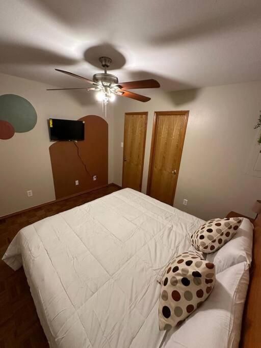 Mcallen 4Br With Pool, Shopping & More Exterior photo