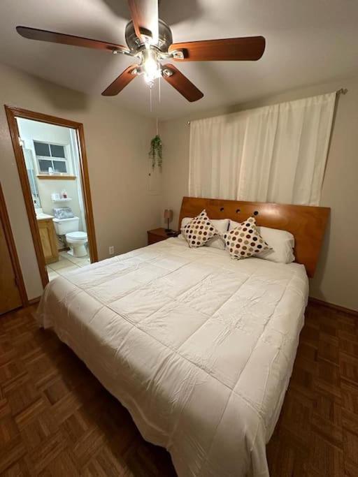 Mcallen 4Br With Pool, Shopping & More Exterior photo